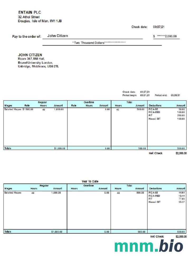 United kingdom Pay Stub Word